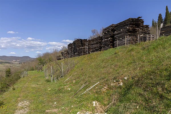 Legni di qualità Falegnameria Lapis Chianti